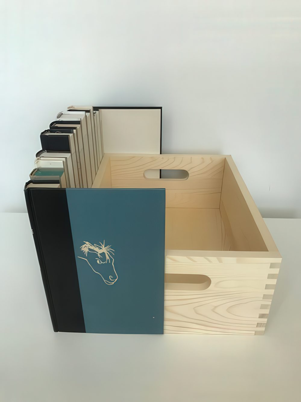 A crate with faux books attached to it can hide any electronics you want to hide, and will do it with elegance.