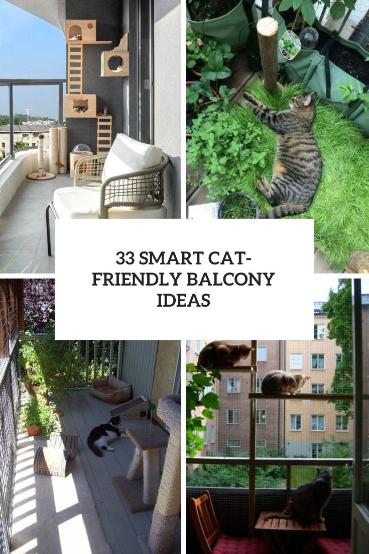 33 Smart Cat-Friendly Balcony Ideas