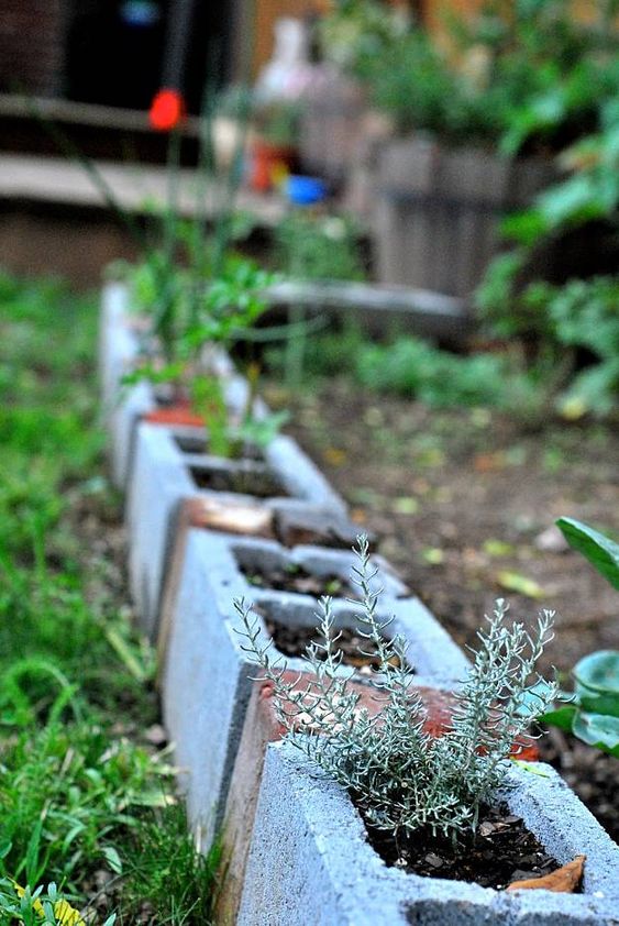 Cinder block garden edging used as planters will enliven your garden even more, you may paint them or not.