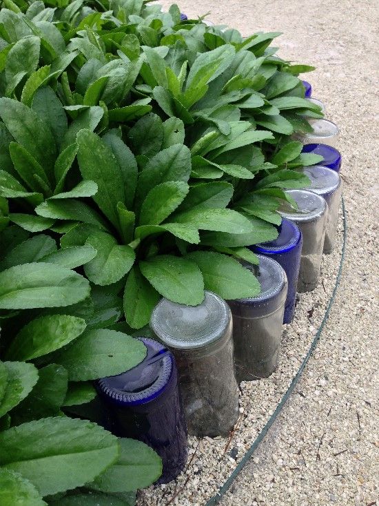 Use various wine bottles to edge your garden - they will provide a touch of color and a relaxed feel to the space.