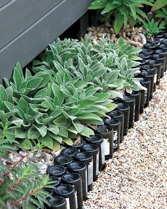 Recycle your wine bottles makign a stylish and cool garden border of them - a double one if you have lots of bottles.