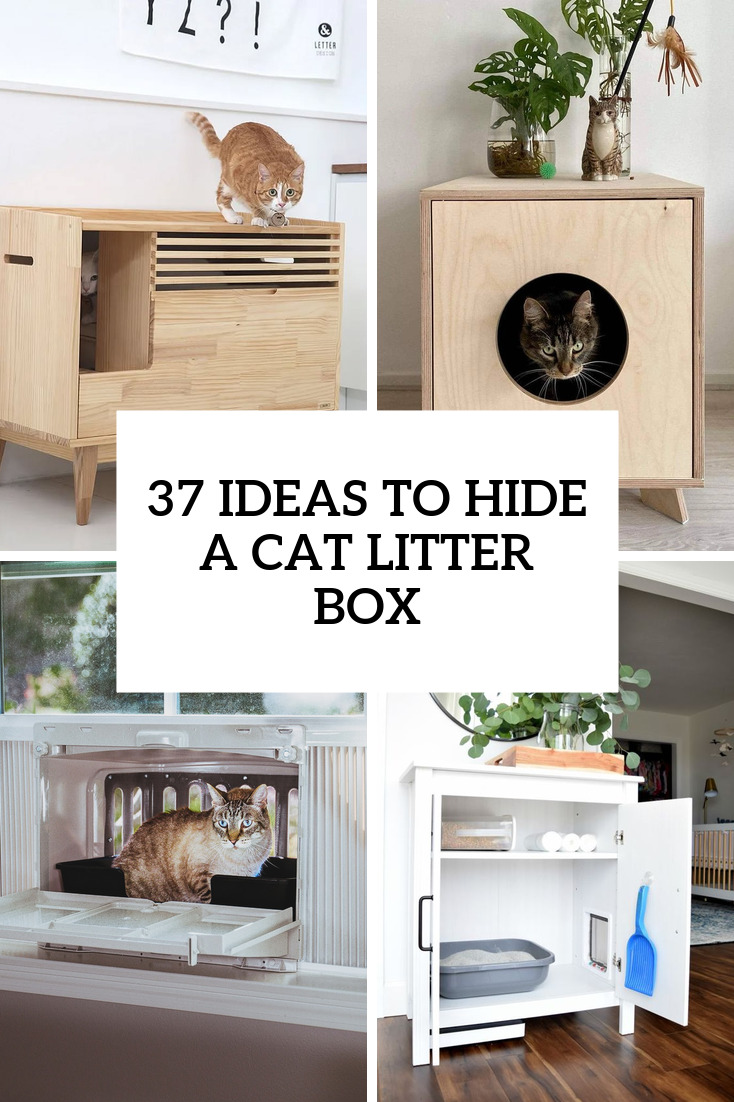 37 Ideas To Hide A Cat Litter Box