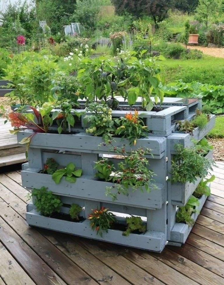 This is a whole herb and veggie garden built of pallets, add casters to make it mobile.