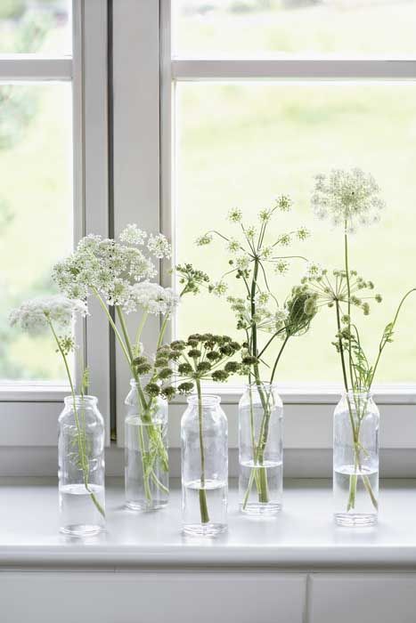 Bottles with white blooms will beautifully line up the windowsill or some other space.