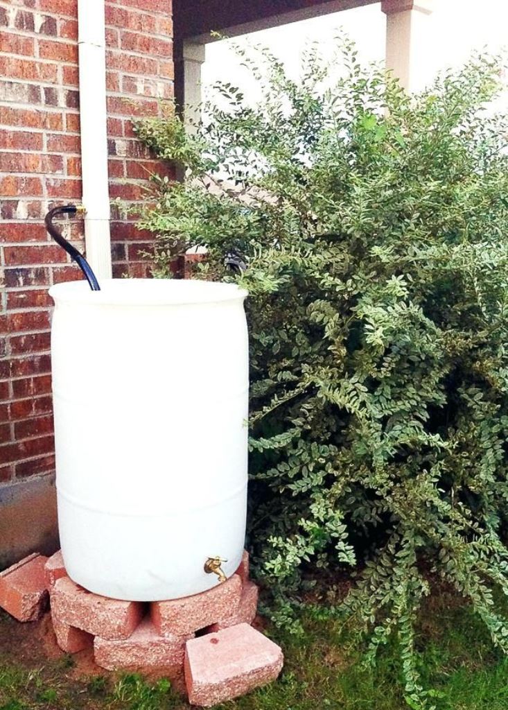 This lovely white barrel stands out in the red brick wall and looks stylish.
