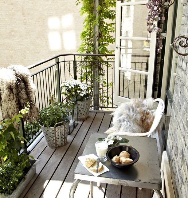 A neutral balcony for summer with potted greenery and blooms, metal furniture, faux fur covers for chairs.