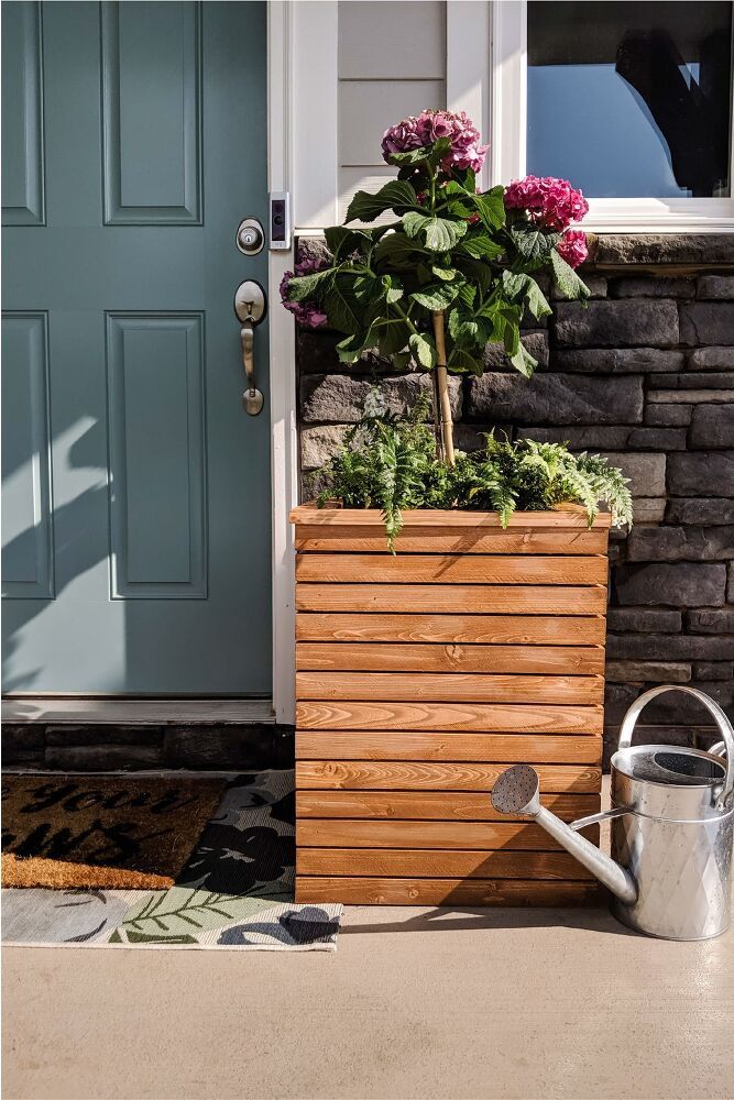 This cool planter with bold blooms is a lovely solution for framing the front door.