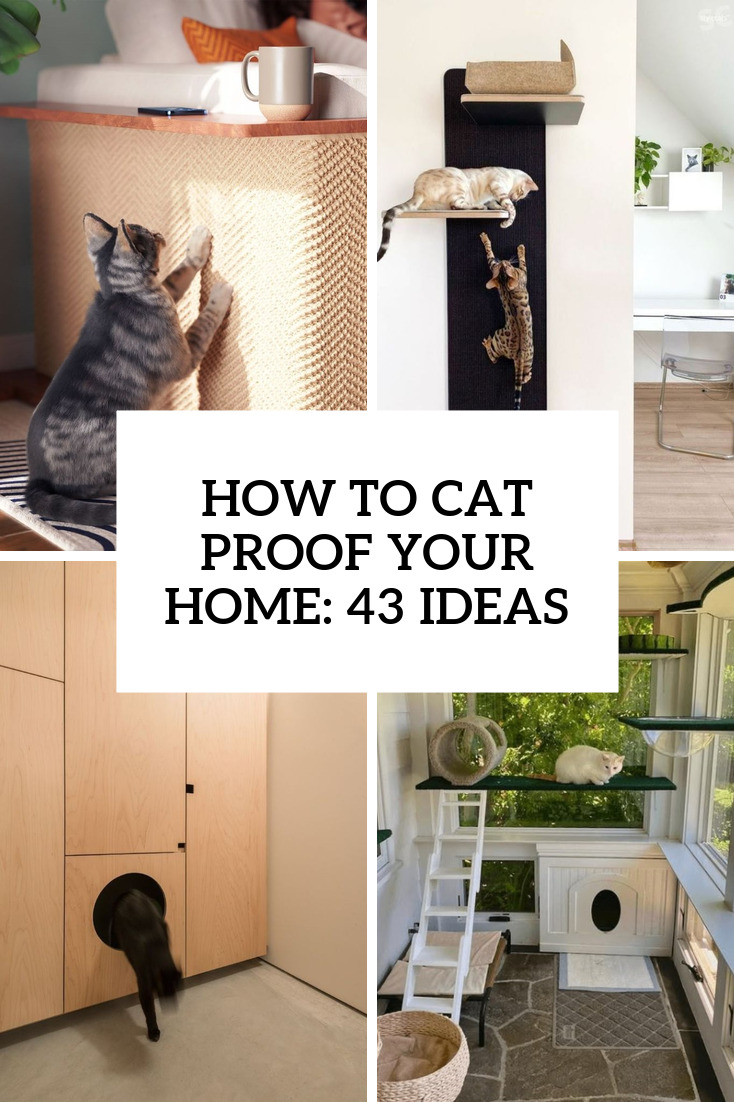 How To Cat Proof Your Home: 43 Ideas