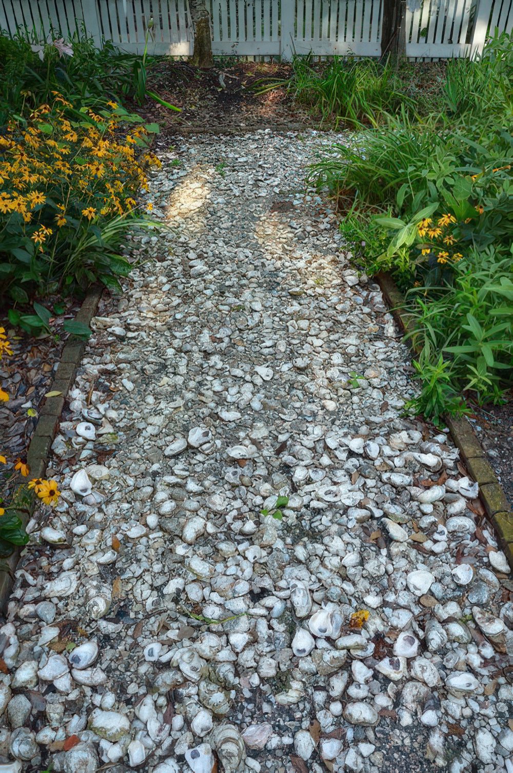 A garden path covered with seashells will make your garden feel coastal and beachy, and this is all-natural.