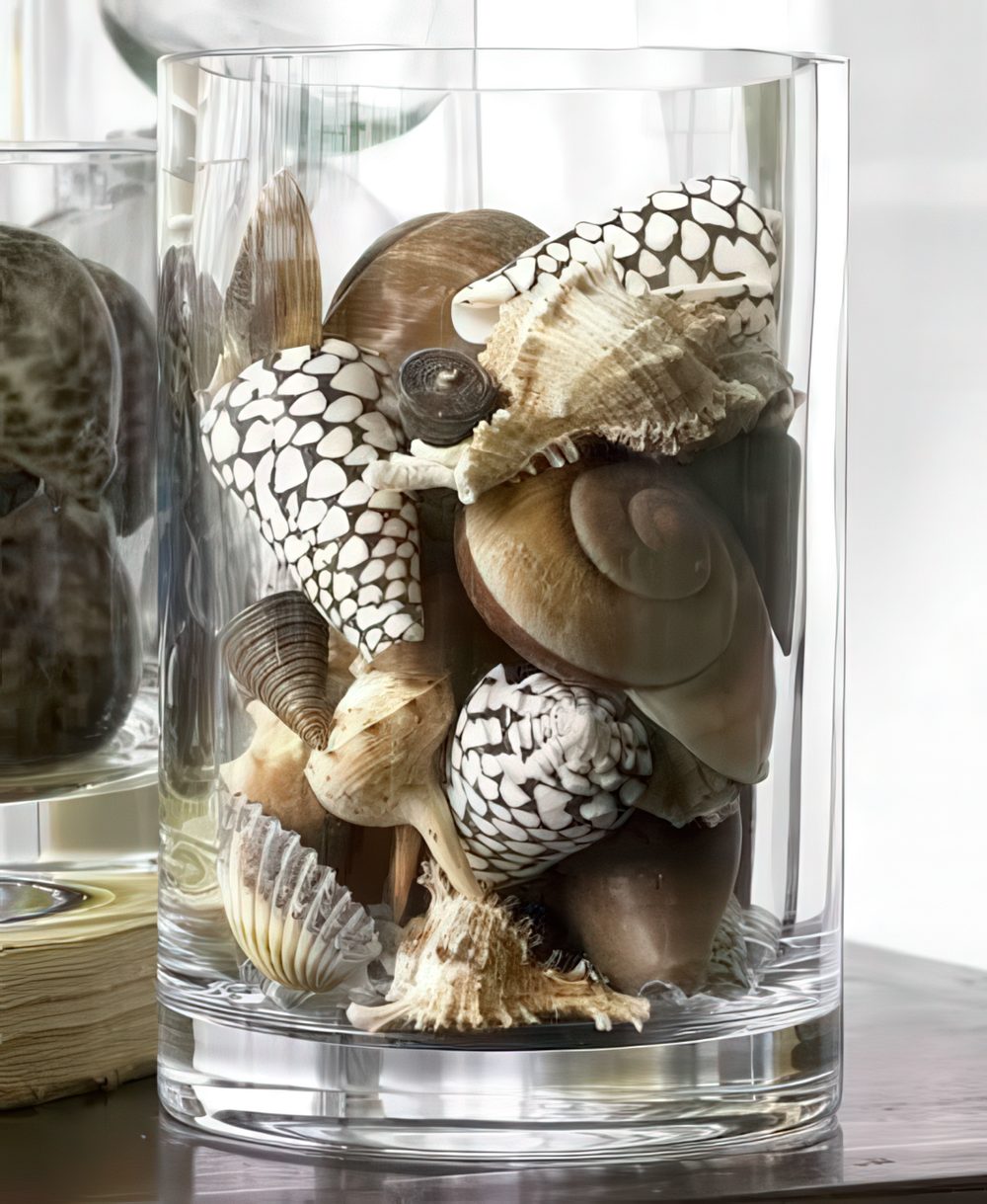 A glass with seashells is a nice idea of a centerpiece or decoration for indoors or outdoors.