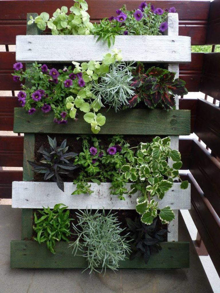 This is a vertical pallet garden stand with various plants and blooms, a nice solution to separate spaces or decorate a small nook.
