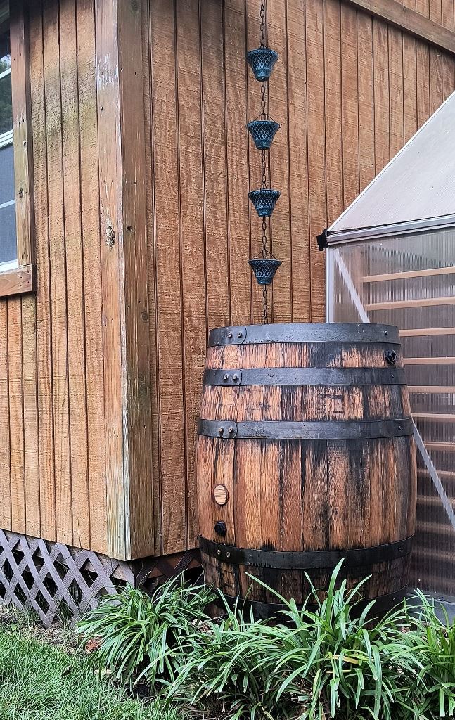 An old barrel and a vintage metal rain chain are a nice combo for a rustic house with a vintage feel.