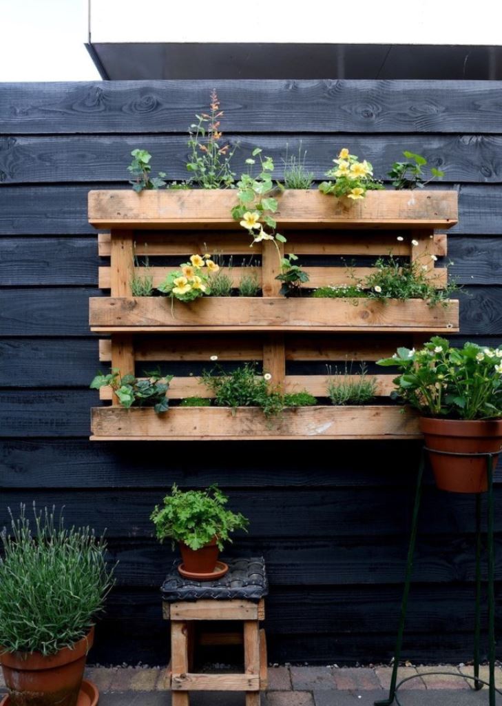 This vertical pallet garden is a nice way to make use of a fence in your garden.