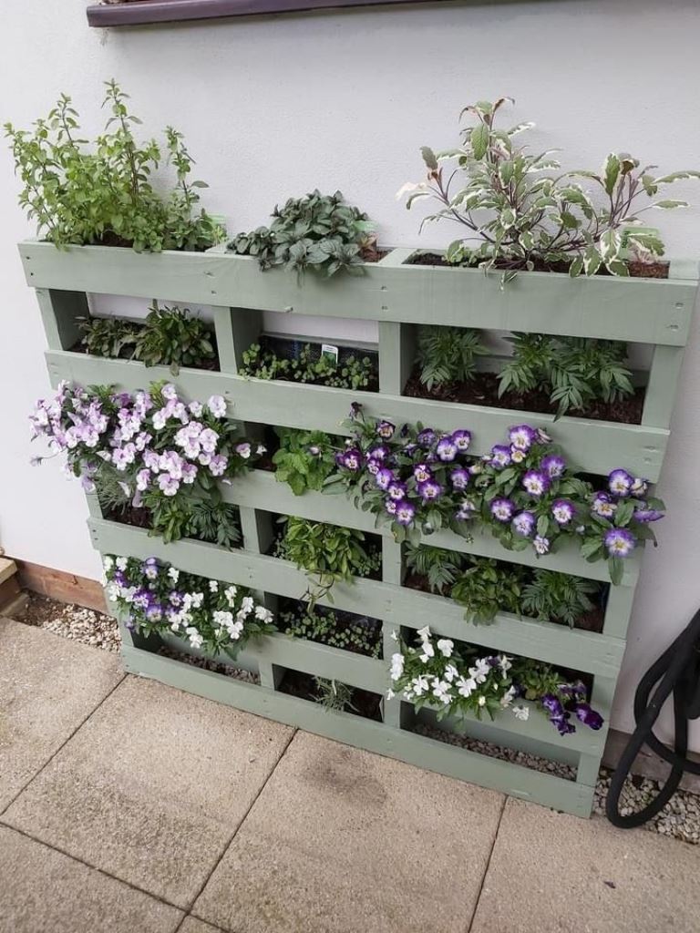 The pallet is painted olive green to make a cool and stylish vertical garden, and eye-catchy plants and blooms add chic to the space.