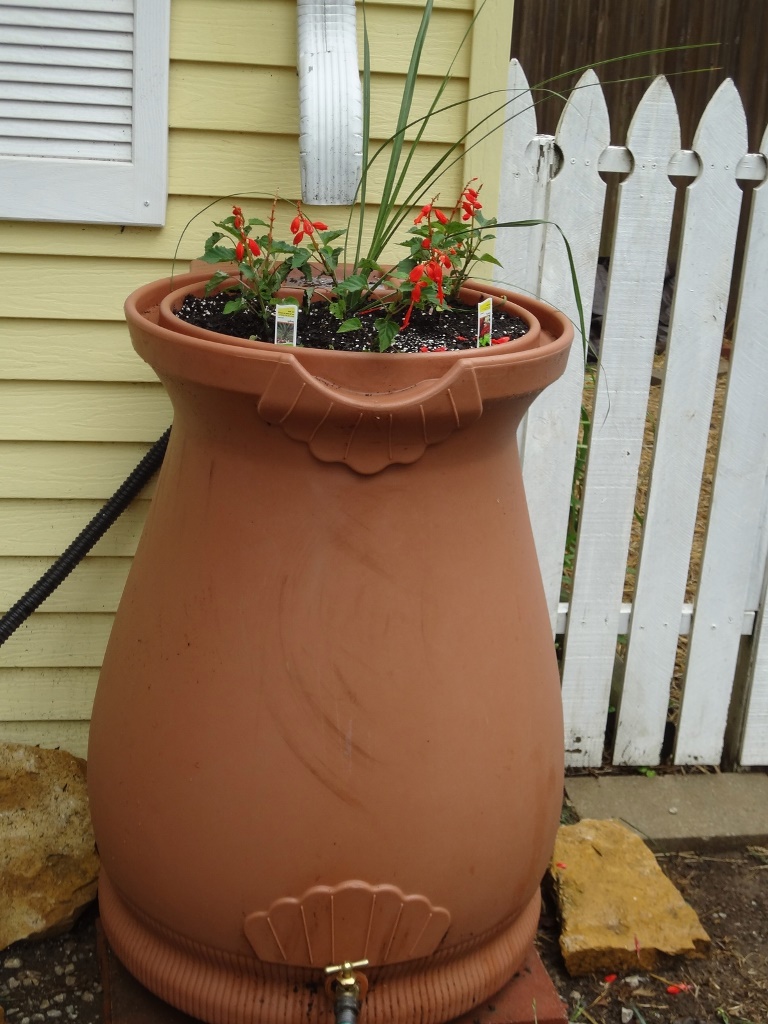 This tall rain container features blooms on top to make it look catchy and lovely.