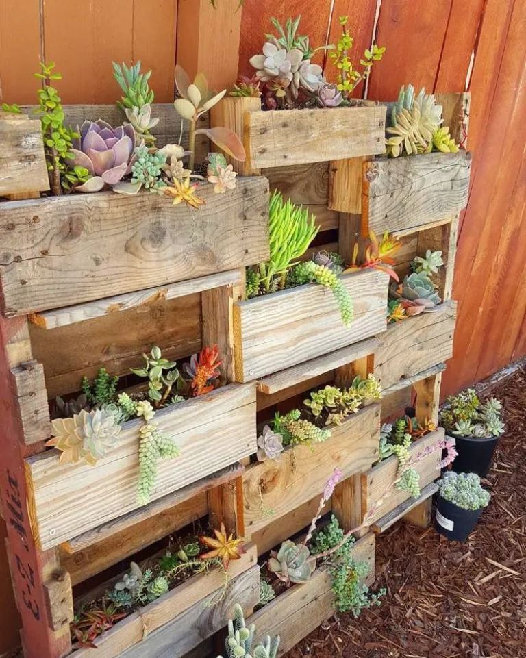 This vertical garden is built of pallets and there are succulents to make the space more stylish.