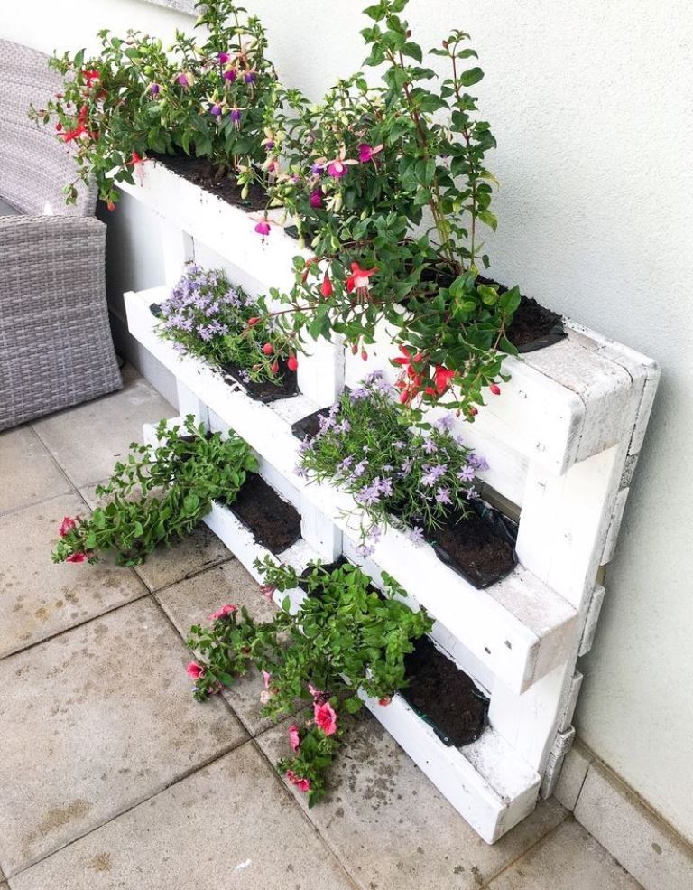 This white pallet is a mini garden at the wall, and blooms add interest to the space.