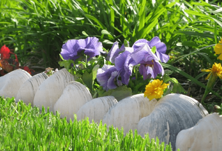 Large clam shells will border a seaside garden embracing the location at the same time.